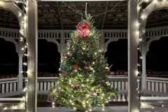 JMG_0209d-20221126_225037067_iOS_00009adj